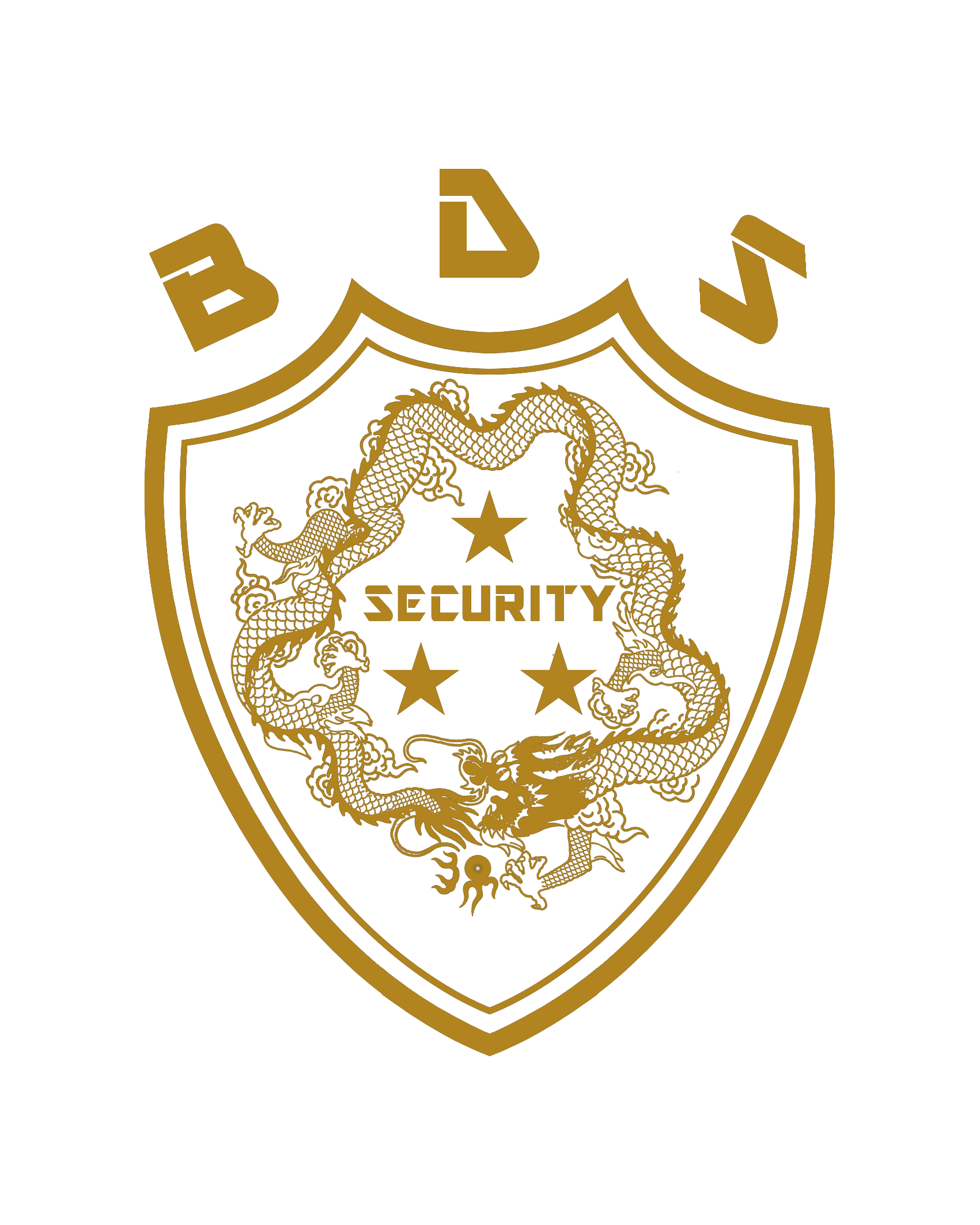 Blue Dragon Security Logo